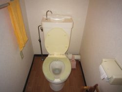 大阪市東住吉区にてトイレつまり