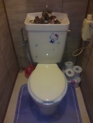 トイレのみずもれ