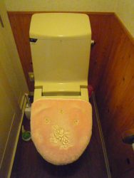 阿倍野区でトイレの水漏れ