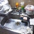 大阪市西区で台所のつまり